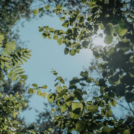 Forest Cabin - 50Min Od Warszawy Wola Polska エクステリア 写真