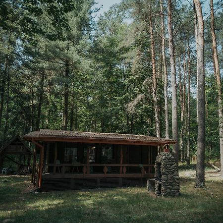 Forest Cabin - 50Min Od Warszawy Wola Polska エクステリア 写真