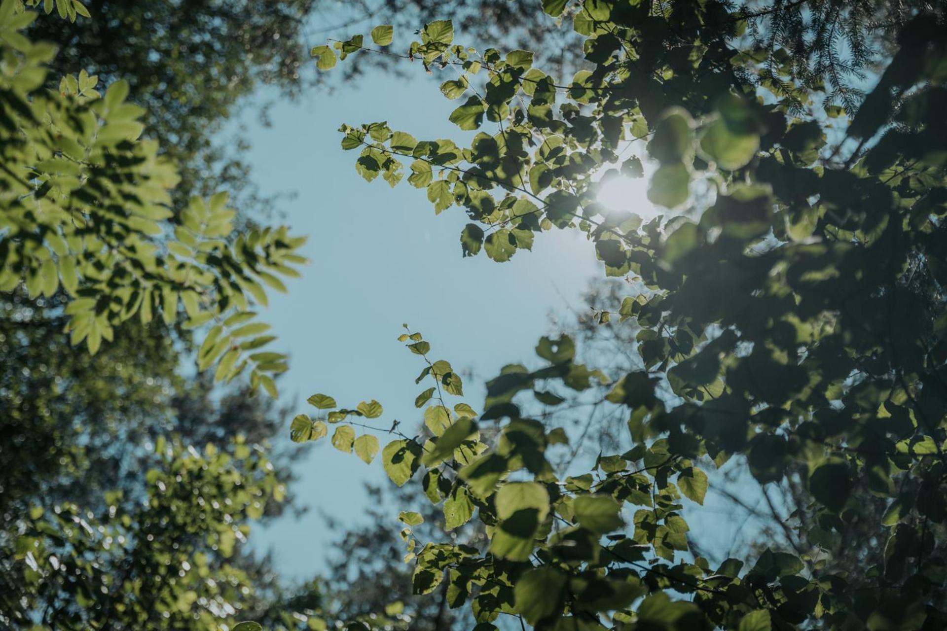 Forest Cabin - 50Min Od Warszawy Wola Polska エクステリア 写真