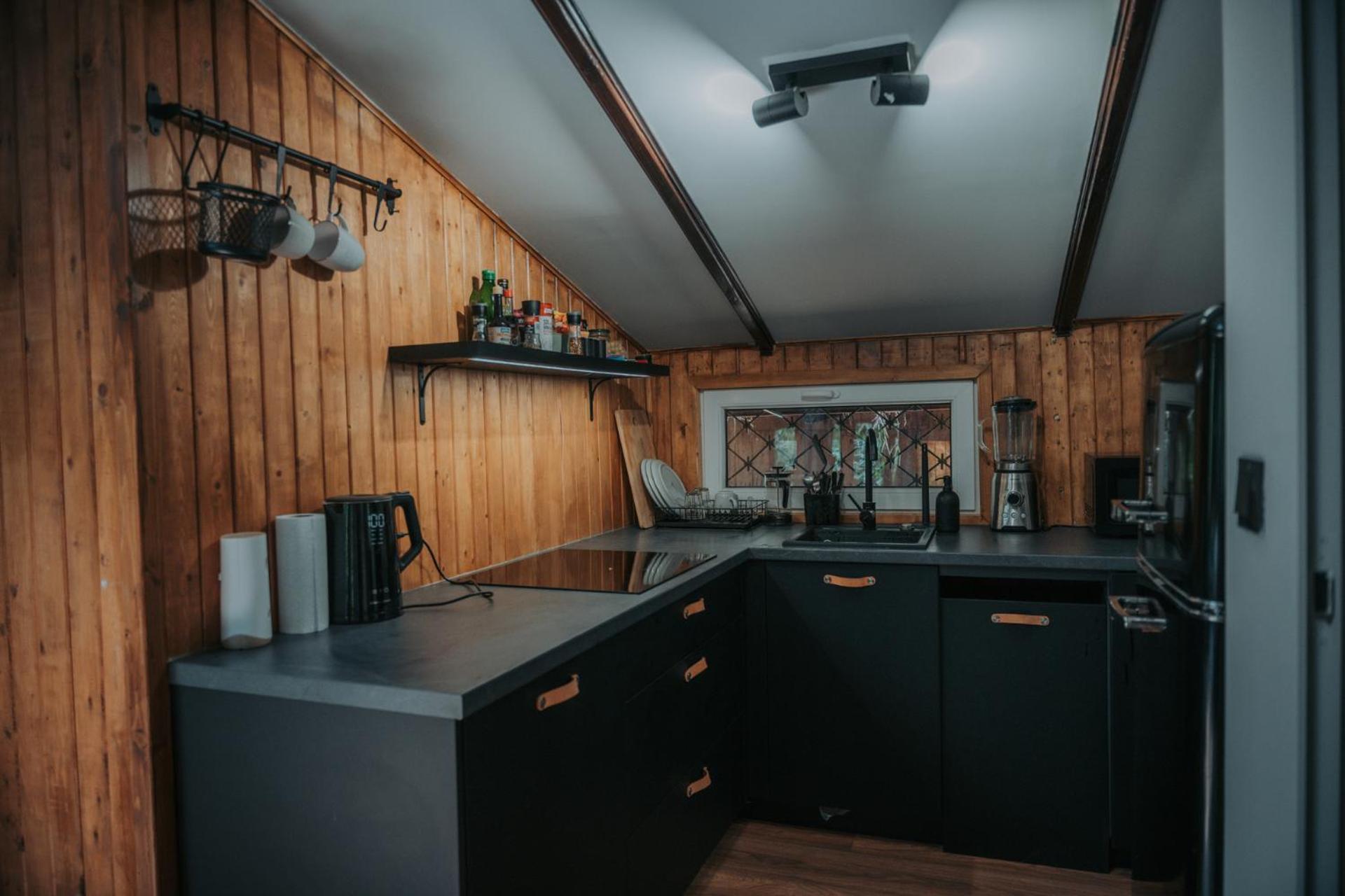 Forest Cabin - 50Min Od Warszawy Wola Polska エクステリア 写真