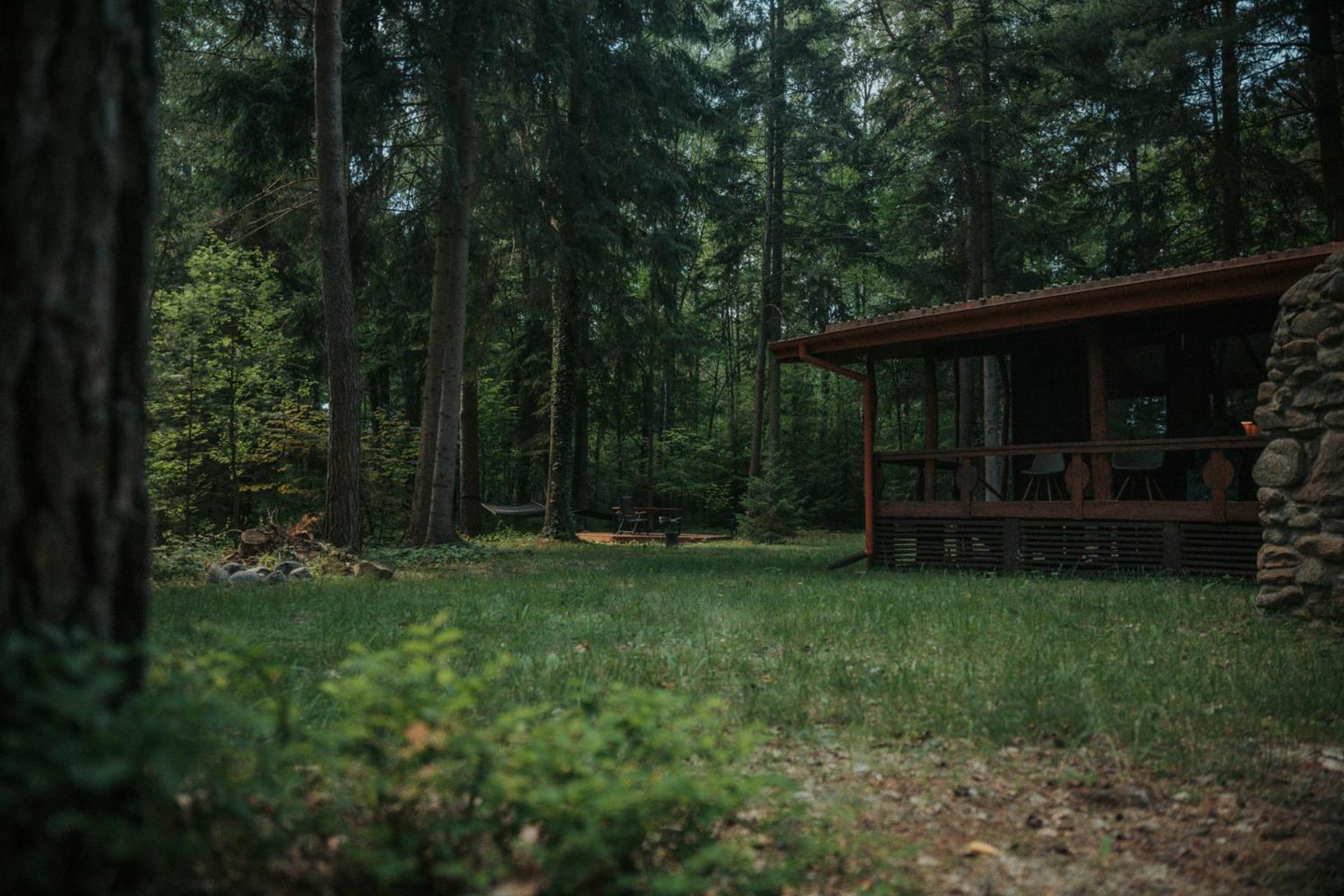 Forest Cabin - 50Min Od Warszawy Wola Polska エクステリア 写真