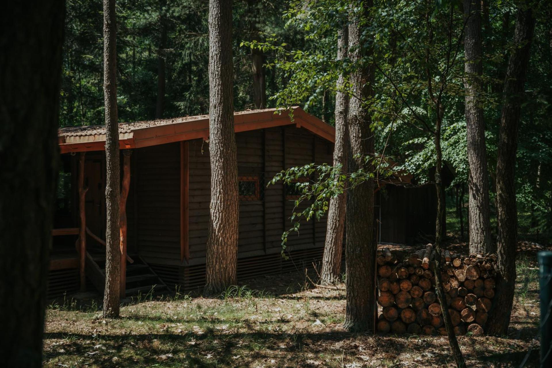 Forest Cabin - 50Min Od Warszawy Wola Polska エクステリア 写真