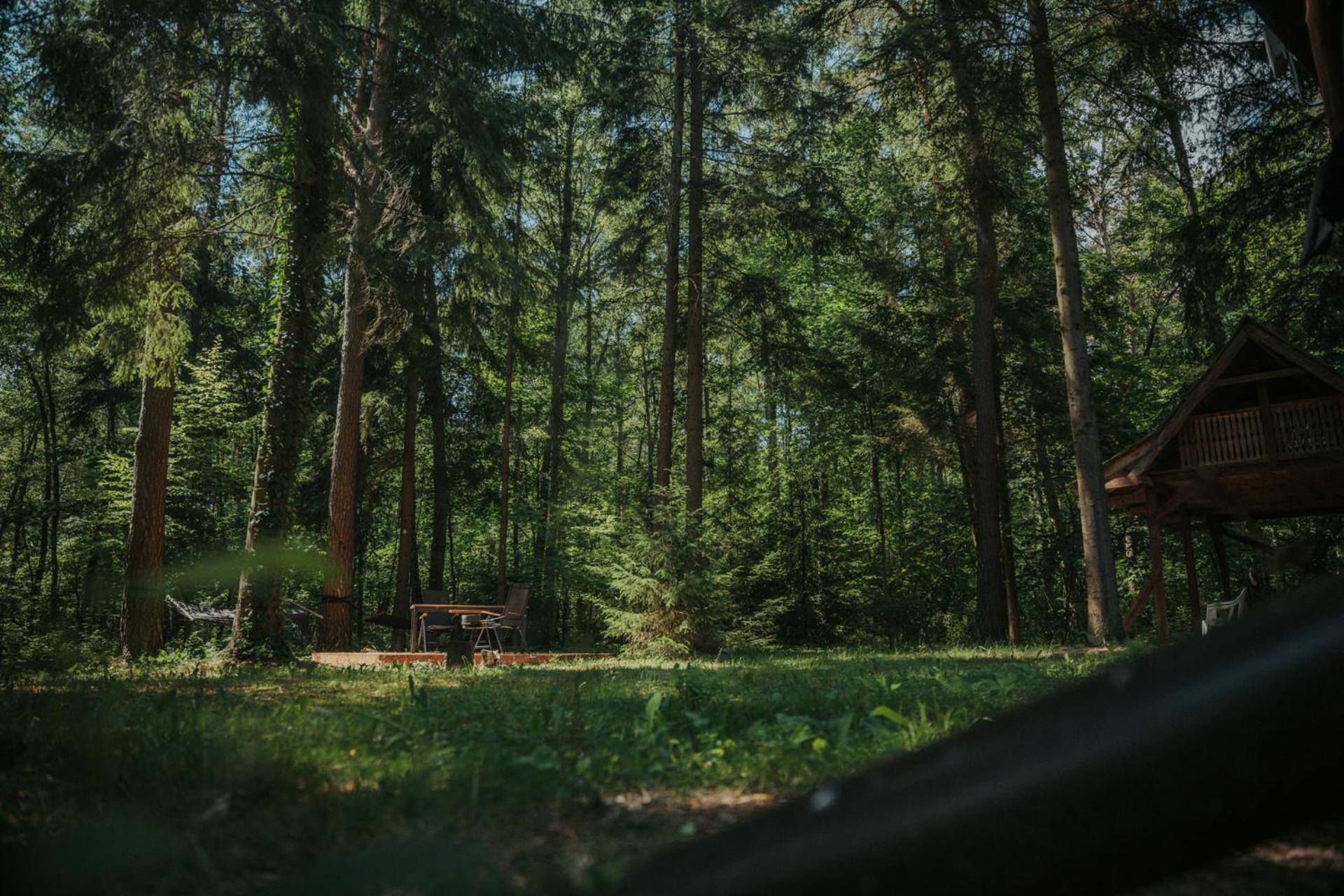 Forest Cabin - 50Min Od Warszawy Wola Polska エクステリア 写真