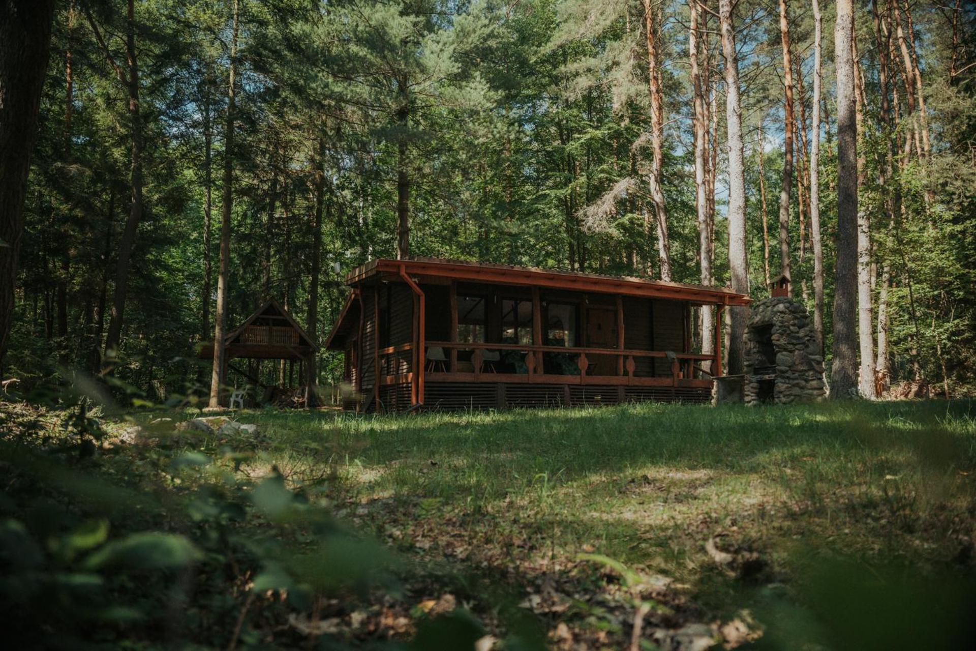 Forest Cabin - 50Min Od Warszawy Wola Polska エクステリア 写真