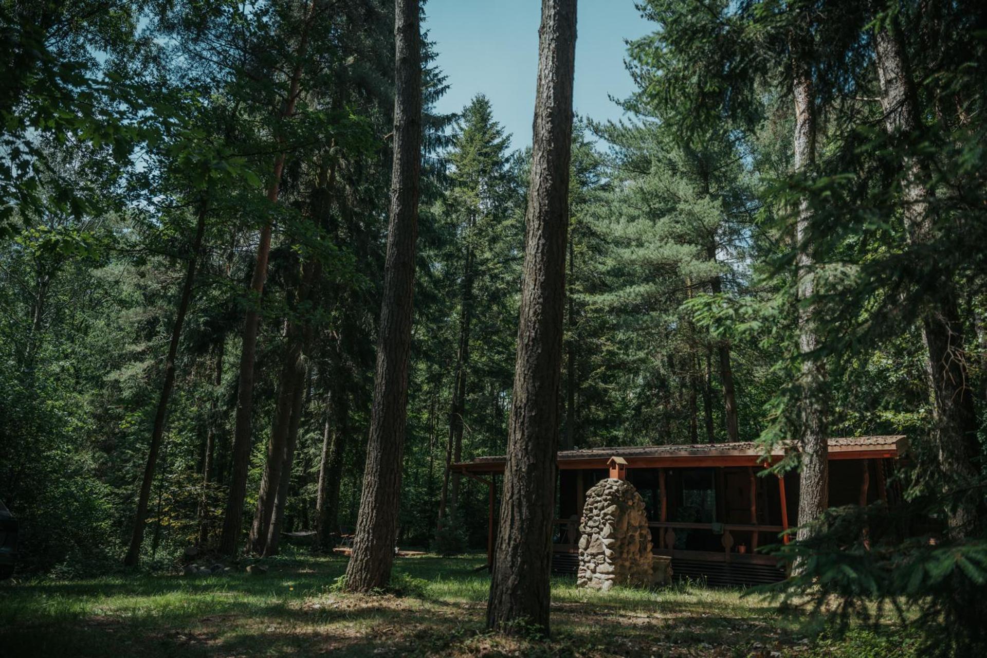 Forest Cabin - 50Min Od Warszawy Wola Polska エクステリア 写真