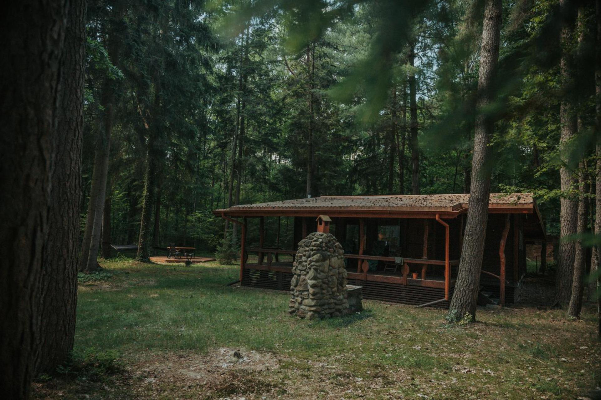 Forest Cabin - 50Min Od Warszawy Wola Polska エクステリア 写真