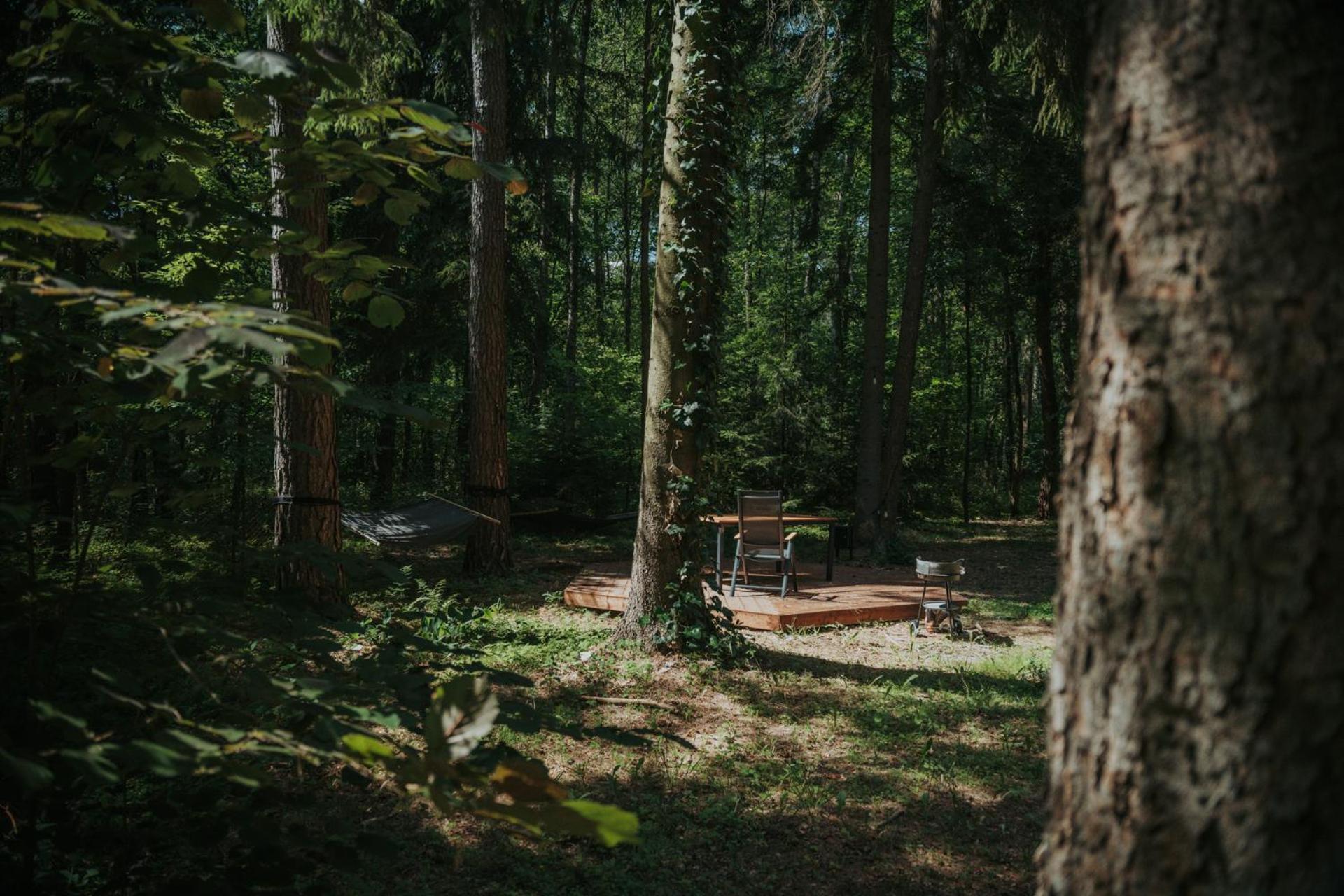 Forest Cabin - 50Min Od Warszawy Wola Polska エクステリア 写真