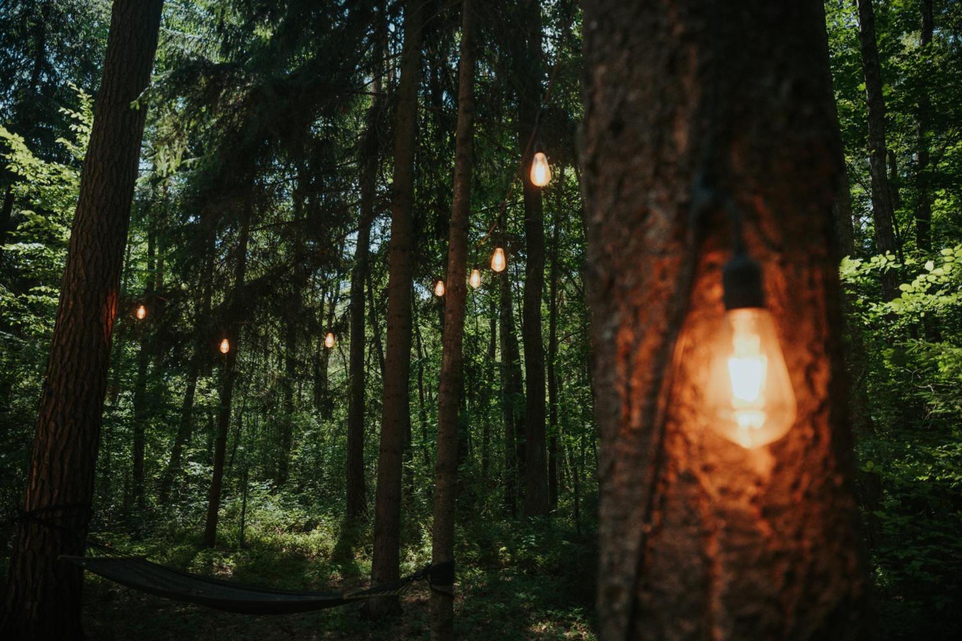 Forest Cabin - 50Min Od Warszawy Wola Polska エクステリア 写真