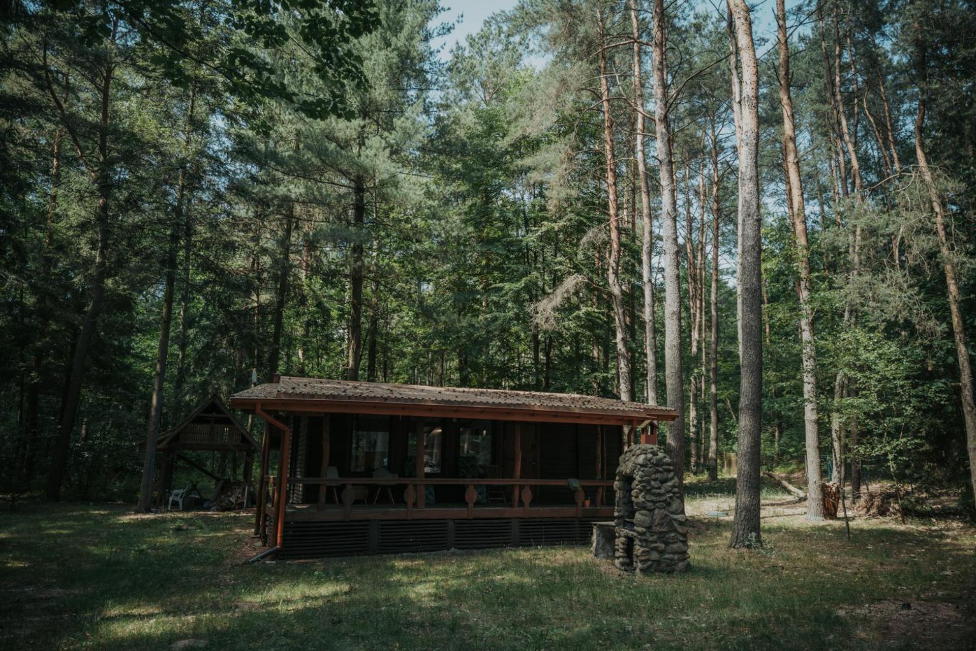 Forest Cabin - 50Min Od Warszawy Wola Polska エクステリア 写真