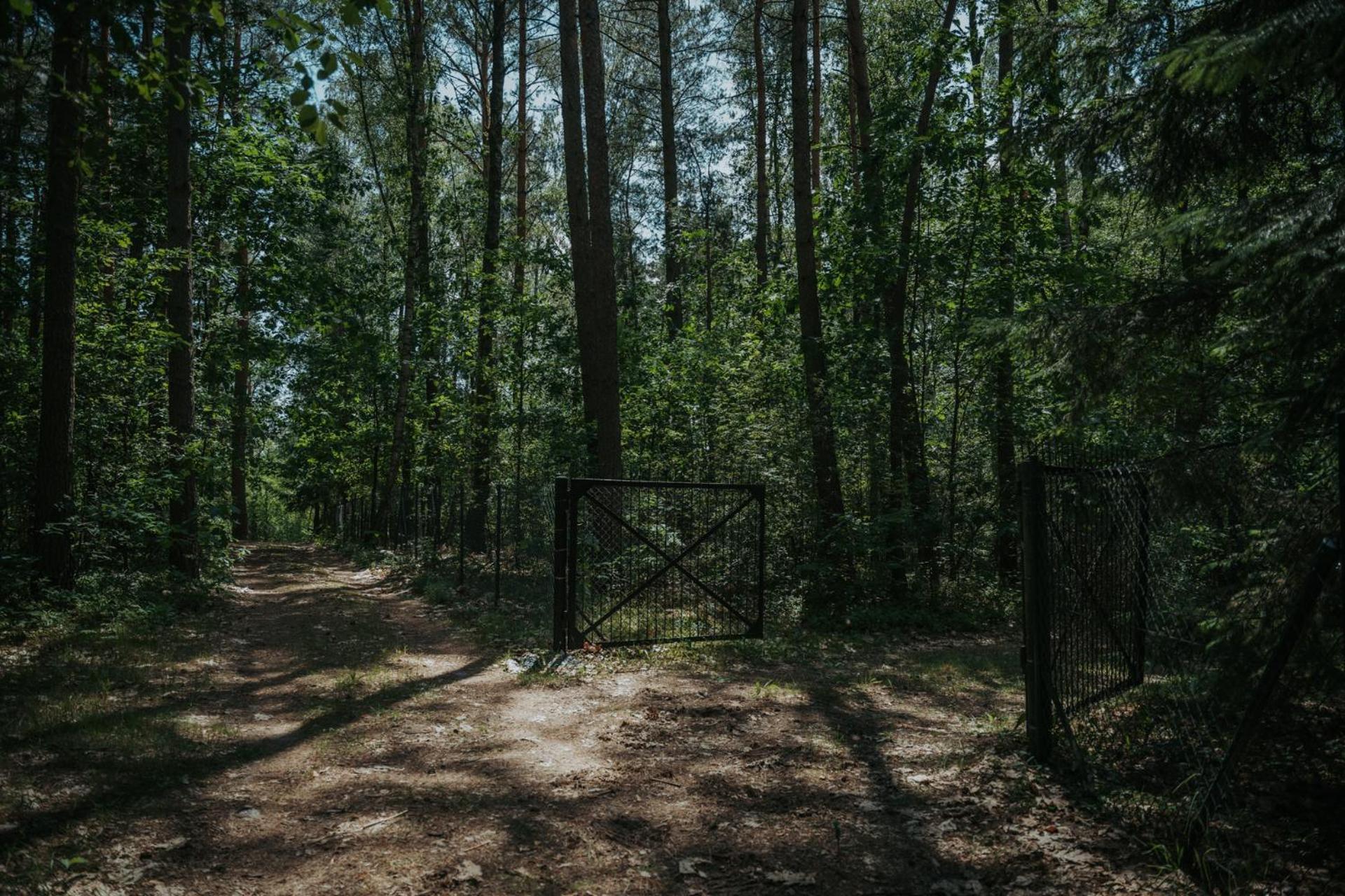 Forest Cabin - 50Min Od Warszawy Wola Polska エクステリア 写真